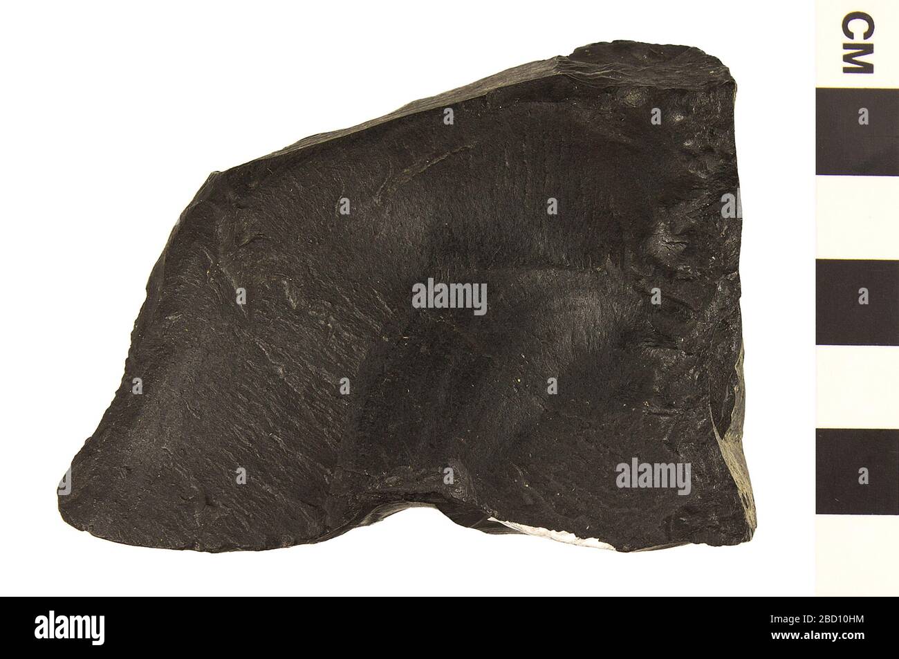 Sedimentary Rock Cannel Coal. EO_045579_Sedimentary_Rock_Cannel_coal_001.jpg Stock Photo