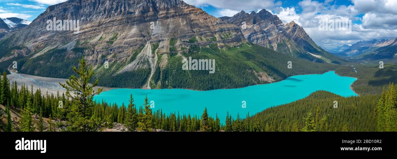 Panorama of Peyto lake on Icefields Parkway in Banff National Park ...