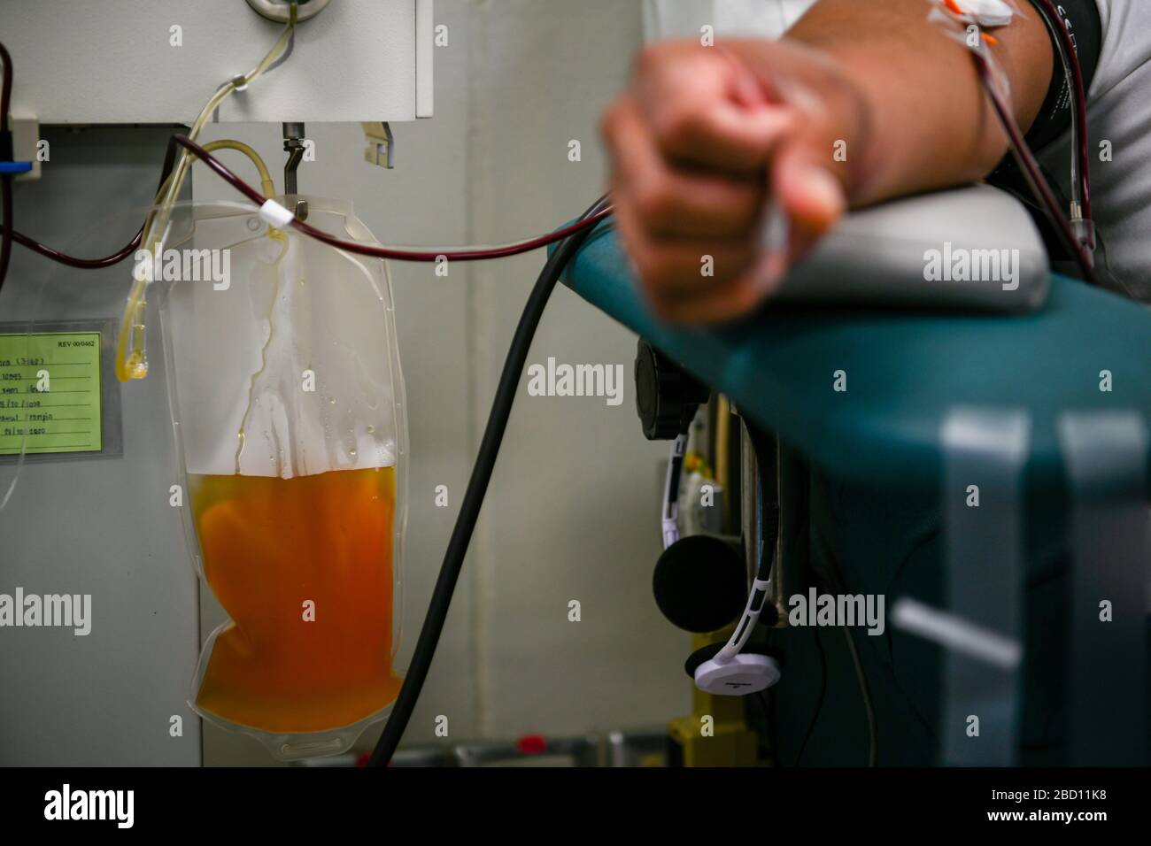 Blood plasma bag hires stock photography and images Alamy