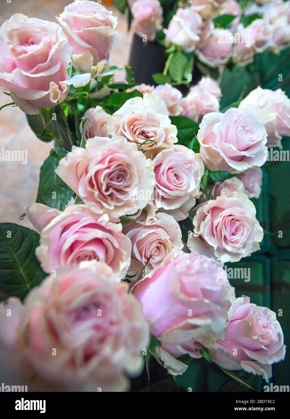 Pink Roses Flowers Bunch Stock Photo Alamy