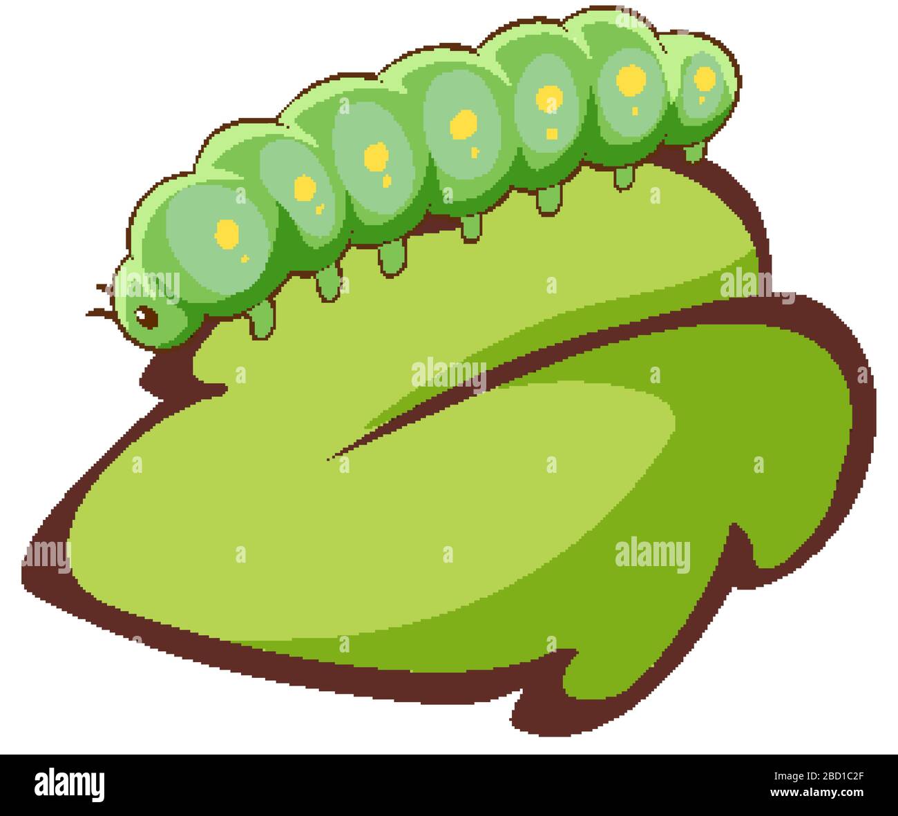 Green caterpillar on leaf on white background illustration Stock Vector ...