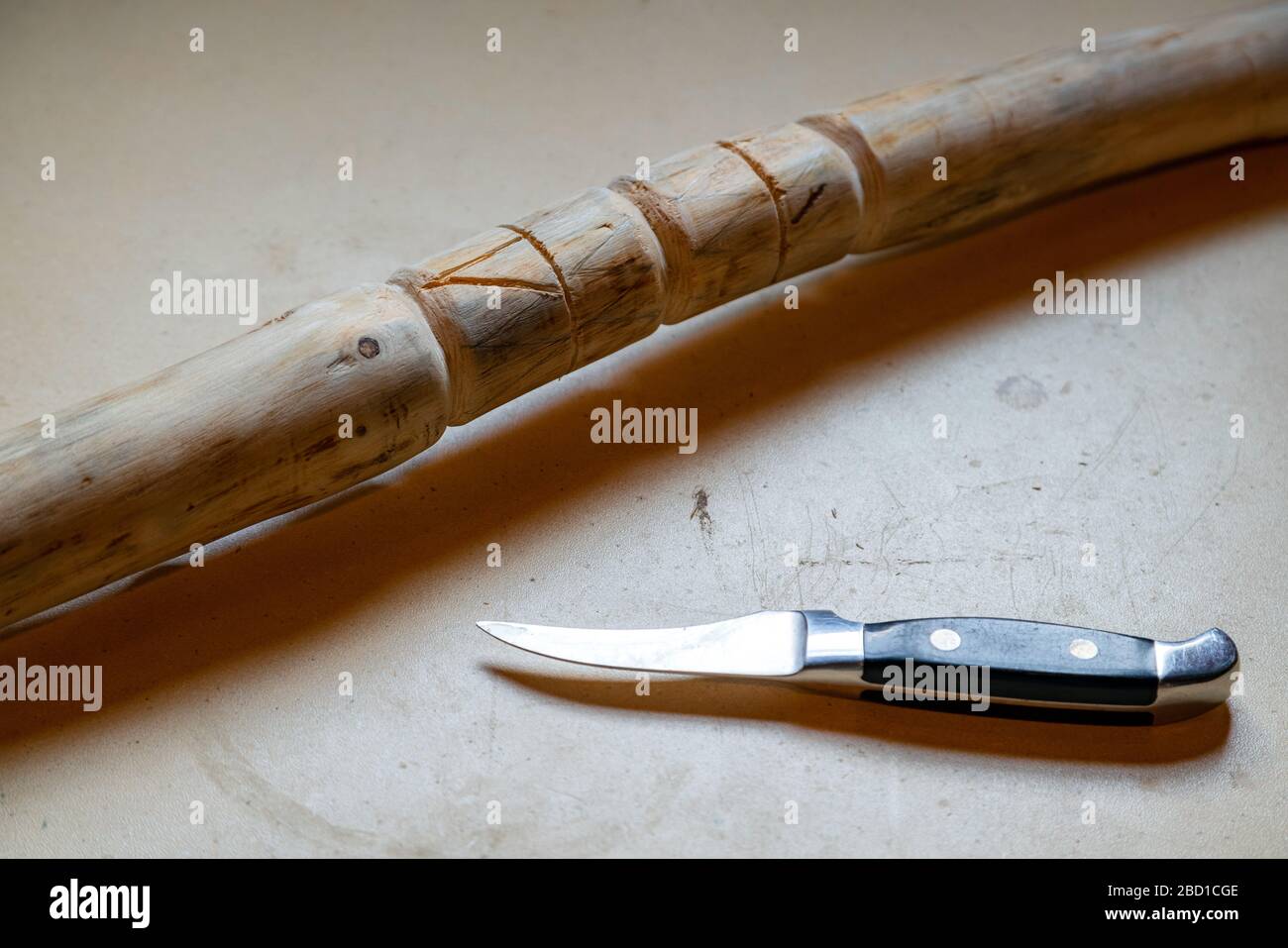 Still life of wooden walking stick, knife and rasp on the table