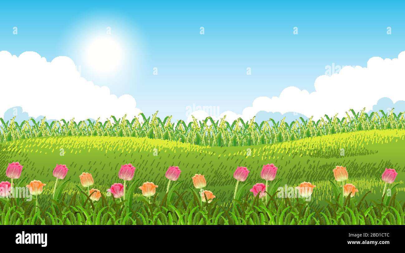 Nature scene background with beautiful flowers in the garden ...