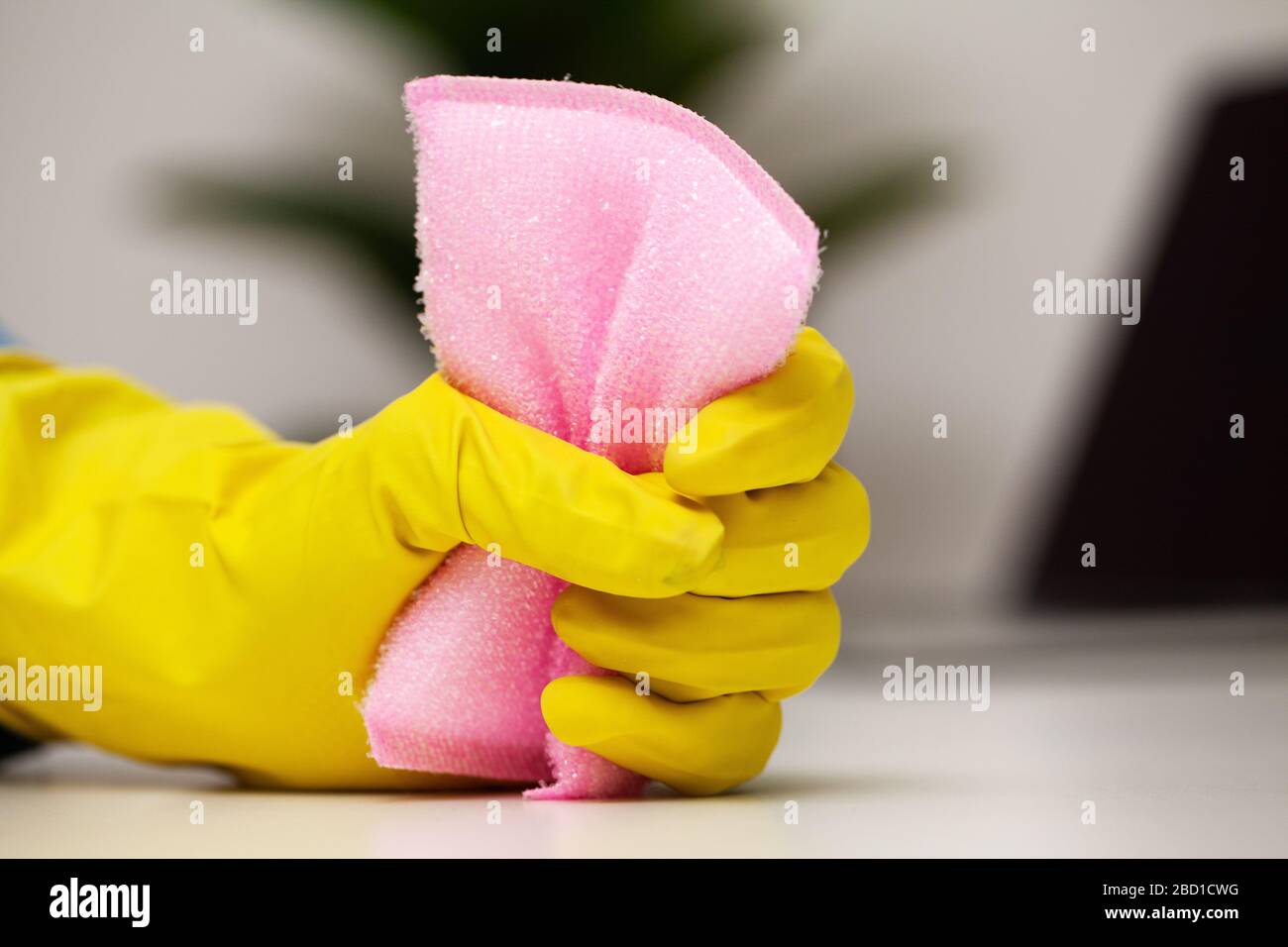 Closeup of a cleaning company worker cleans office Stock Photo - Alamy