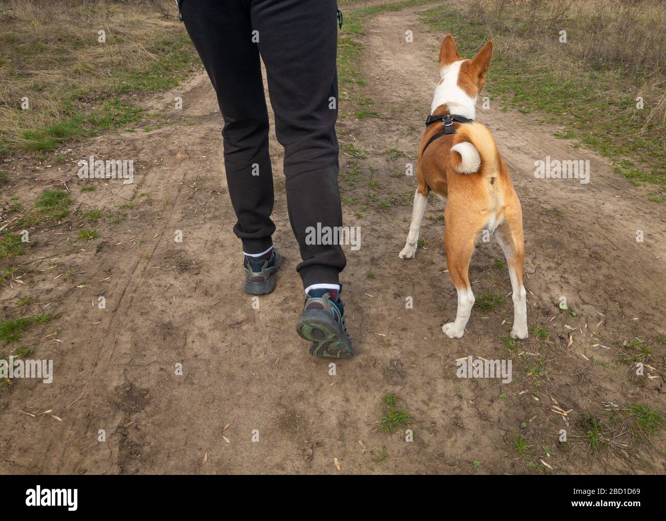 Basenji Pants Basenji Pants