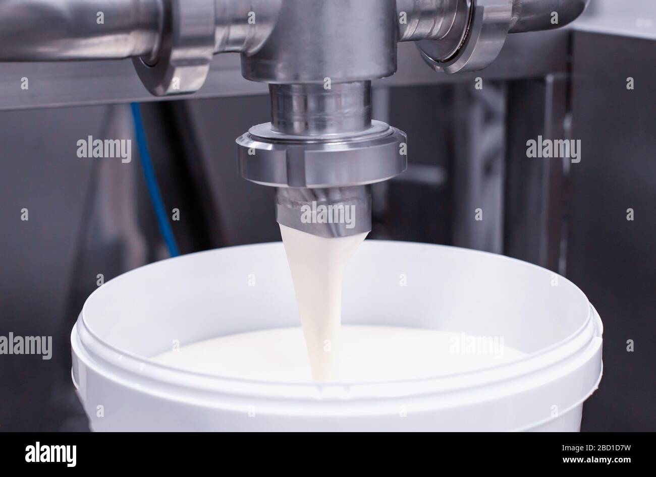 Making and spilling yogurt from milk into buckets. Making milk products