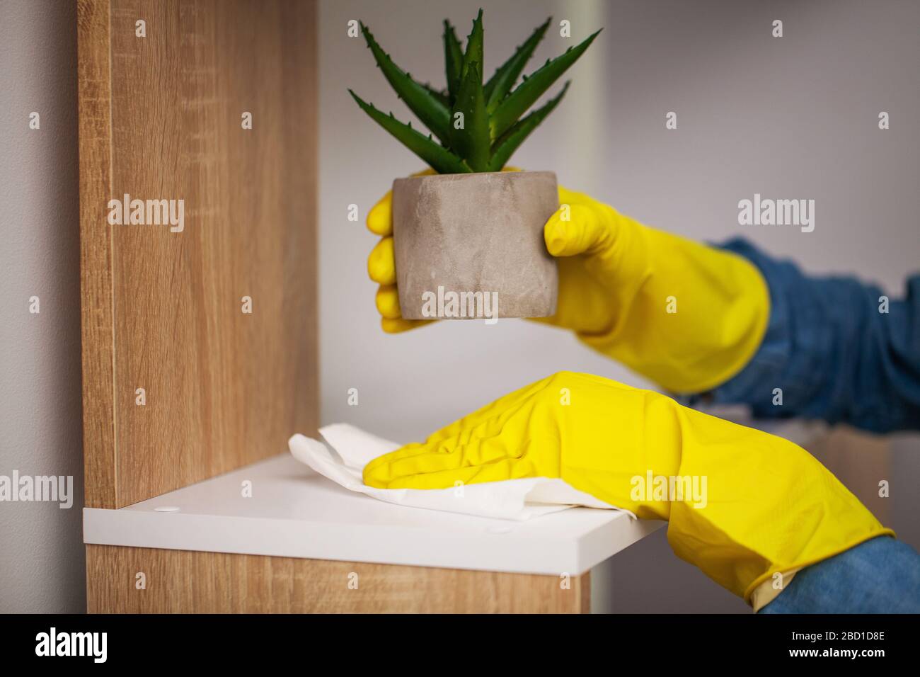 Closeup of a cleaning company worker cleans office Stock Photo - Alamy