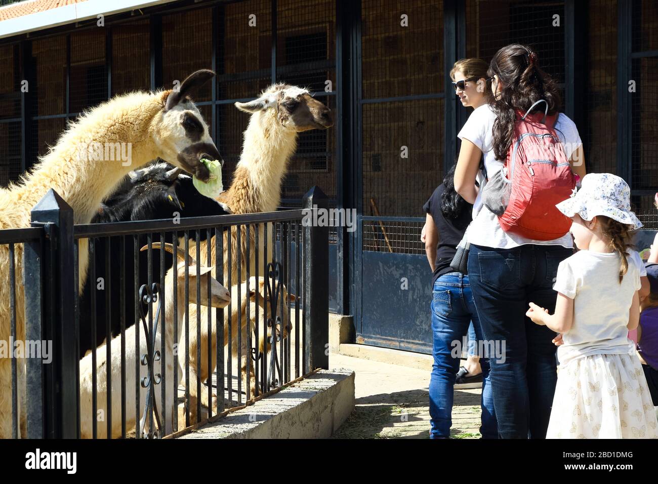 Mar Chaaya, Lebanon - May 27, 2017: Parents with their kids visiting the zoo in the leisure time. Stock Photo