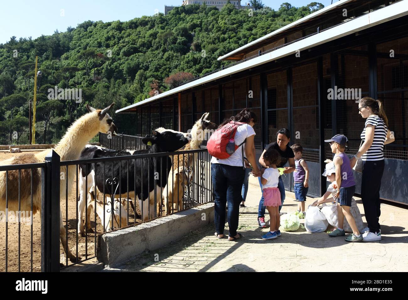 Mar Chaaya, Lebanon - May 27, 2017: Parents with their kids visiting the zoo in the leisure time. Stock Photo