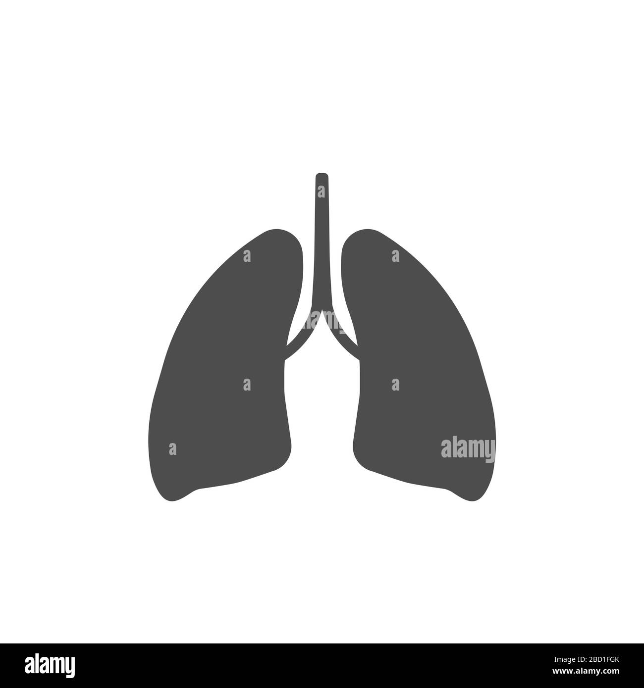 Human lungs vector illustration Stock Vector
