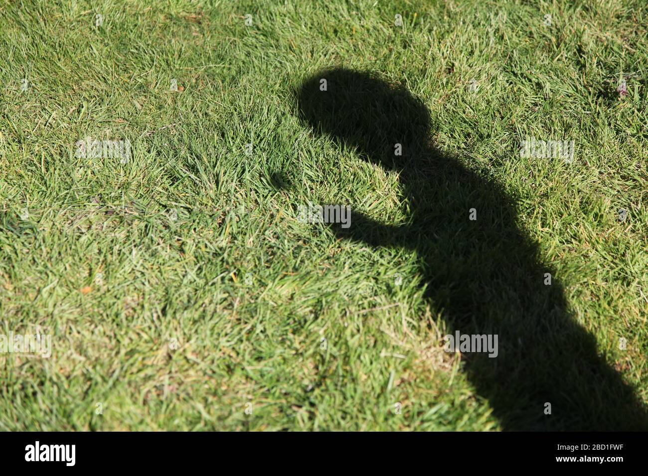 Silhouette shadow of a child boy against grass, blowing on a dandelion 'Taraxacum' parachute ball head in a UK garden at daytime, Spring 2020 Stock Photo