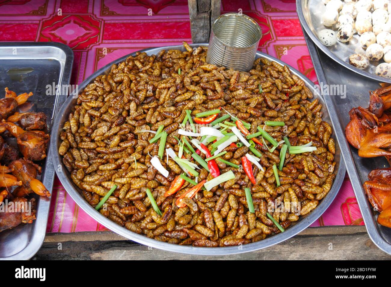 Fried worm at a street stall in Cambodia Stock Photo