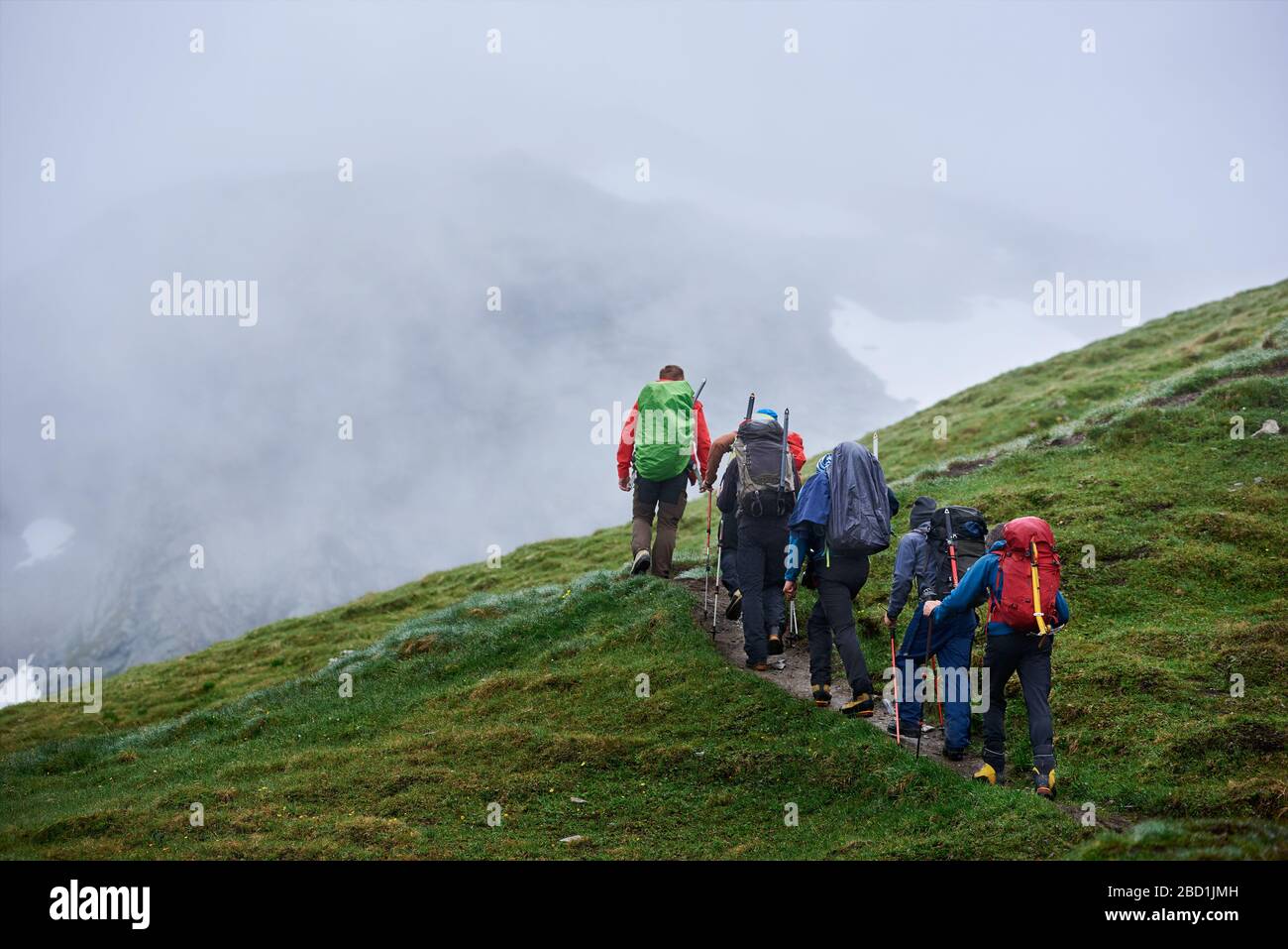 Back view of hikers carrying backpacks and climbing the hill with green
