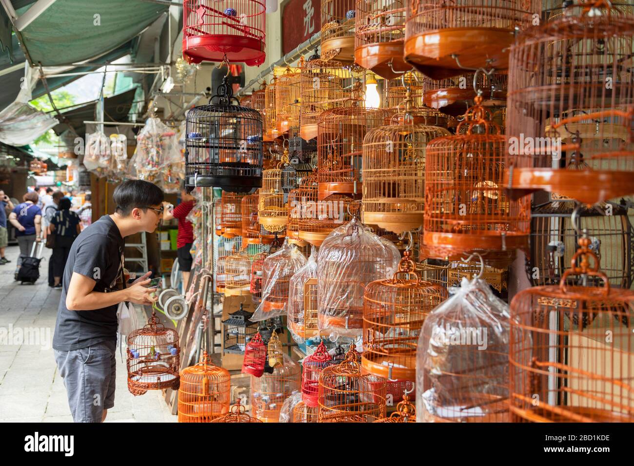 Bird Market, Mong Kok, Kowloon, Hong Kong, China, Asia Stock Photo Alamy
