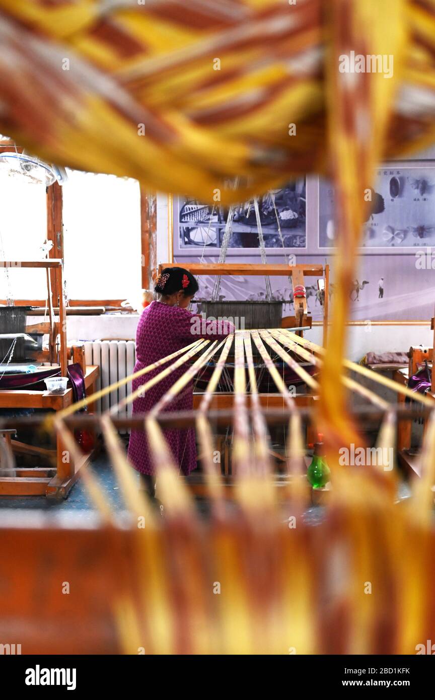 Uyghur woman preparing loom with tie dyed silk thread ready for weaving, Jiya, Xinjiang, China, Asia Stock Photo
