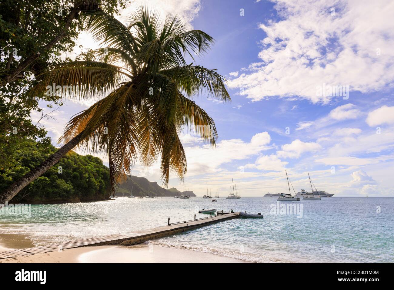 Quiet Caribbean, sea shore palm tree, boat jetty, beautiful Port