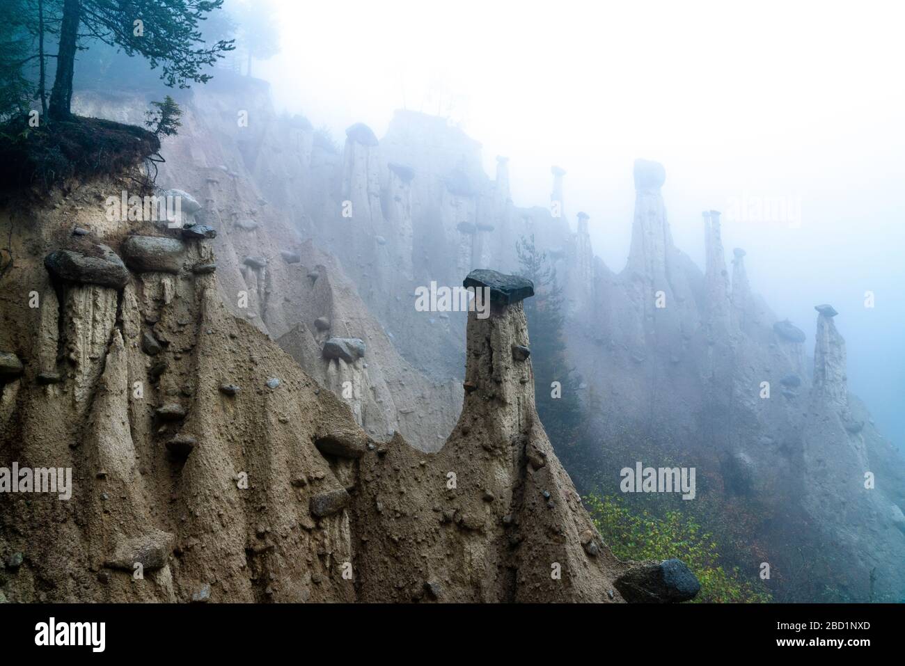 Fog over the Earth Pyramids, Perca (Percha), province of Bolzano, South Tyrol, Italy, Europe Stock Photo