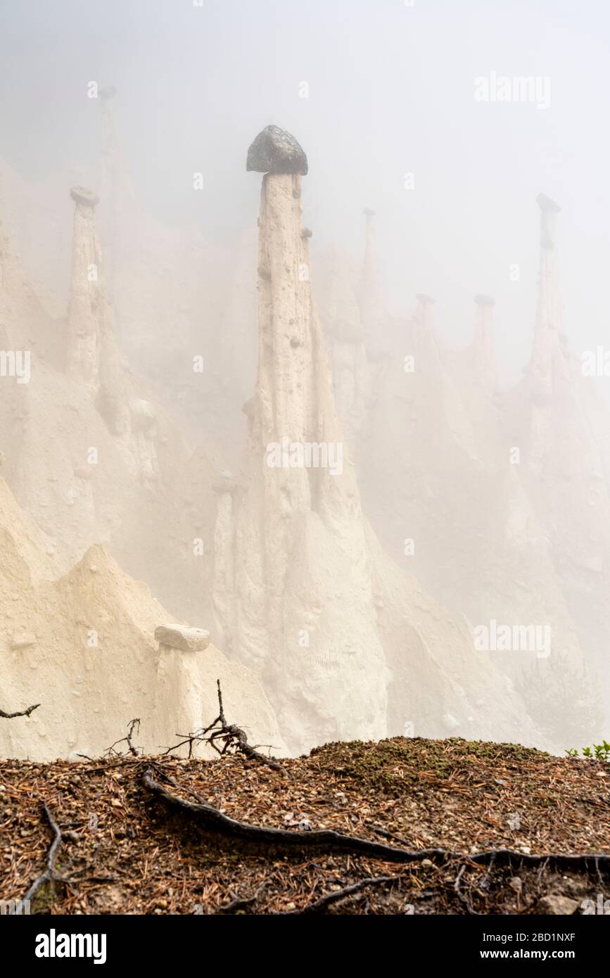 Rock pinnacles of the Earth Pyramids emerging from fog, Perca (Percha), province of Bolzano, South Tyrol, Italy, Europe Stock Photo