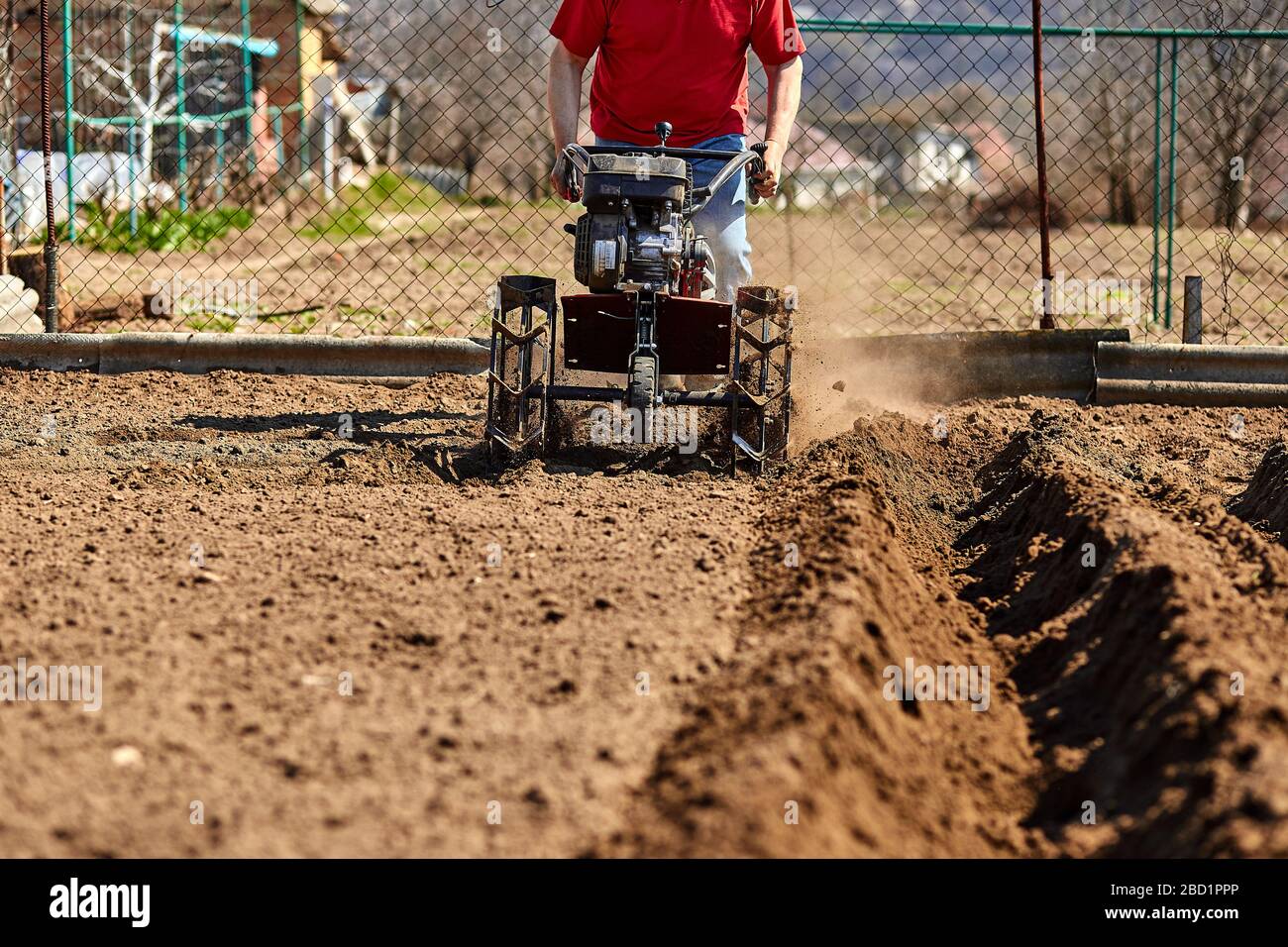 Gardener man cultivate ground soil with tiller tractor or rototiller, cutivator, miiling machine, prepare for planting crop in spring. Modern farming, Stock Photo