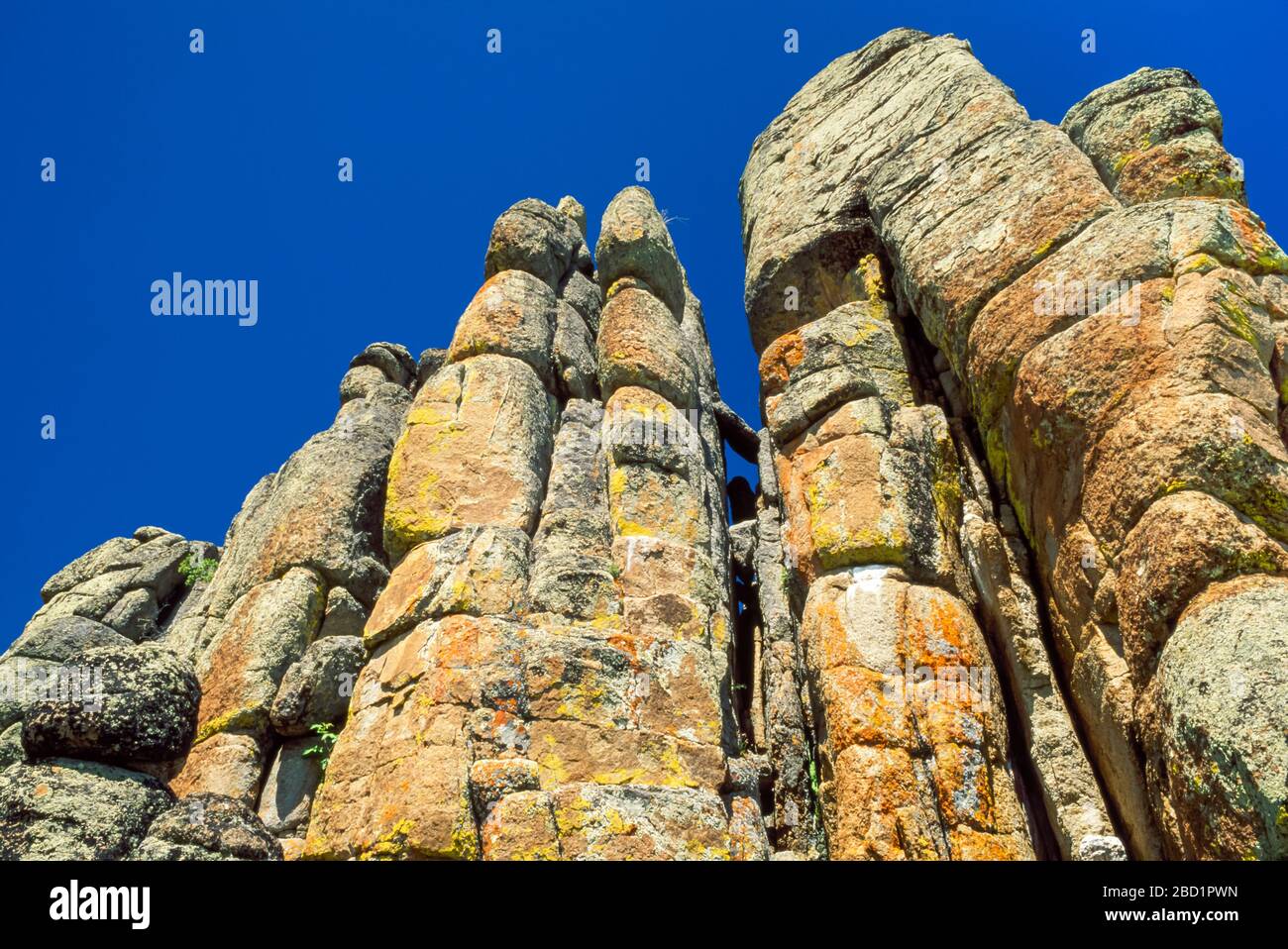 lichencovered granite columns in the castle mountains near white