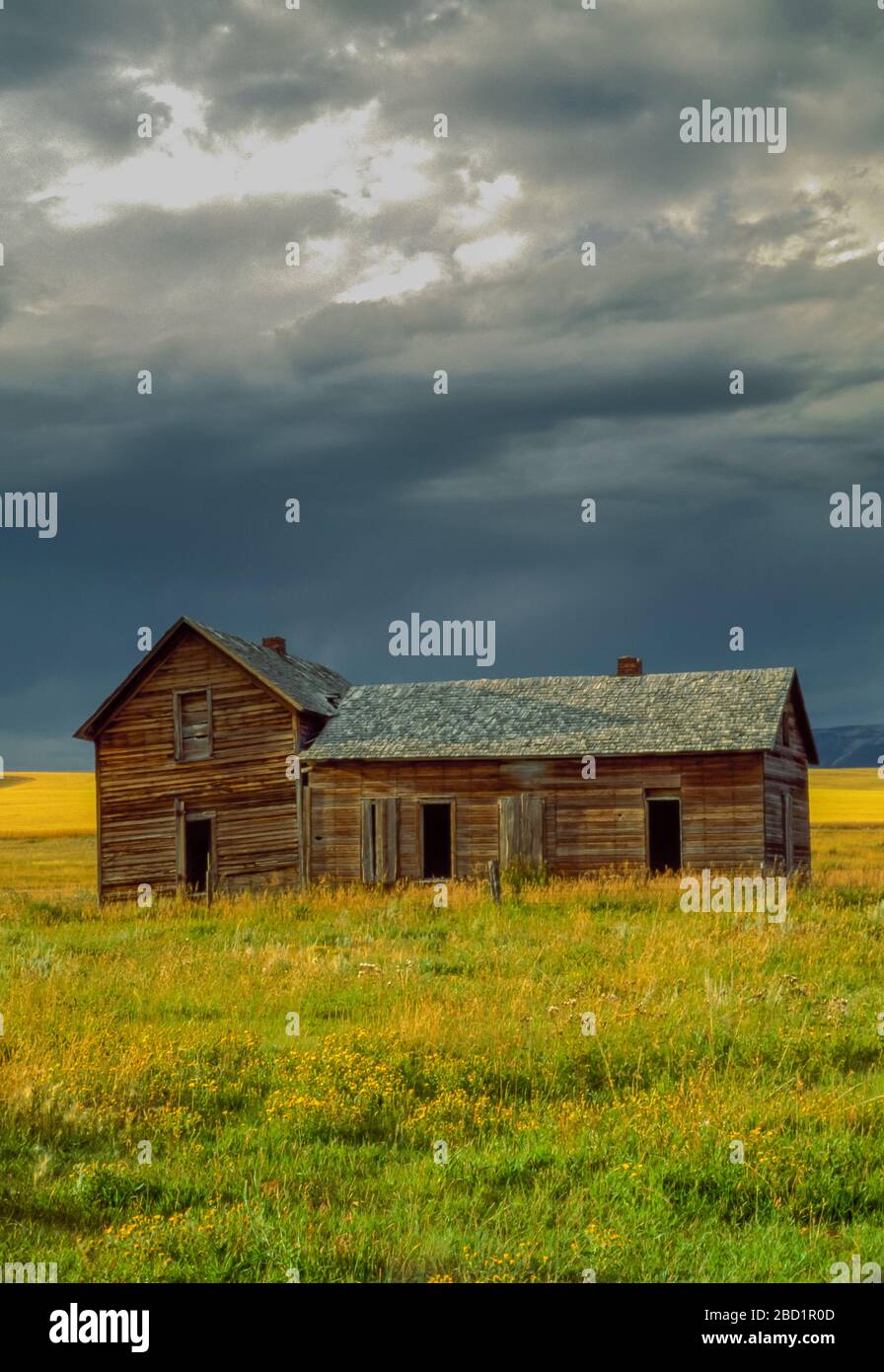 old homestead building on the prairie near judith gap, montana Stock Photo