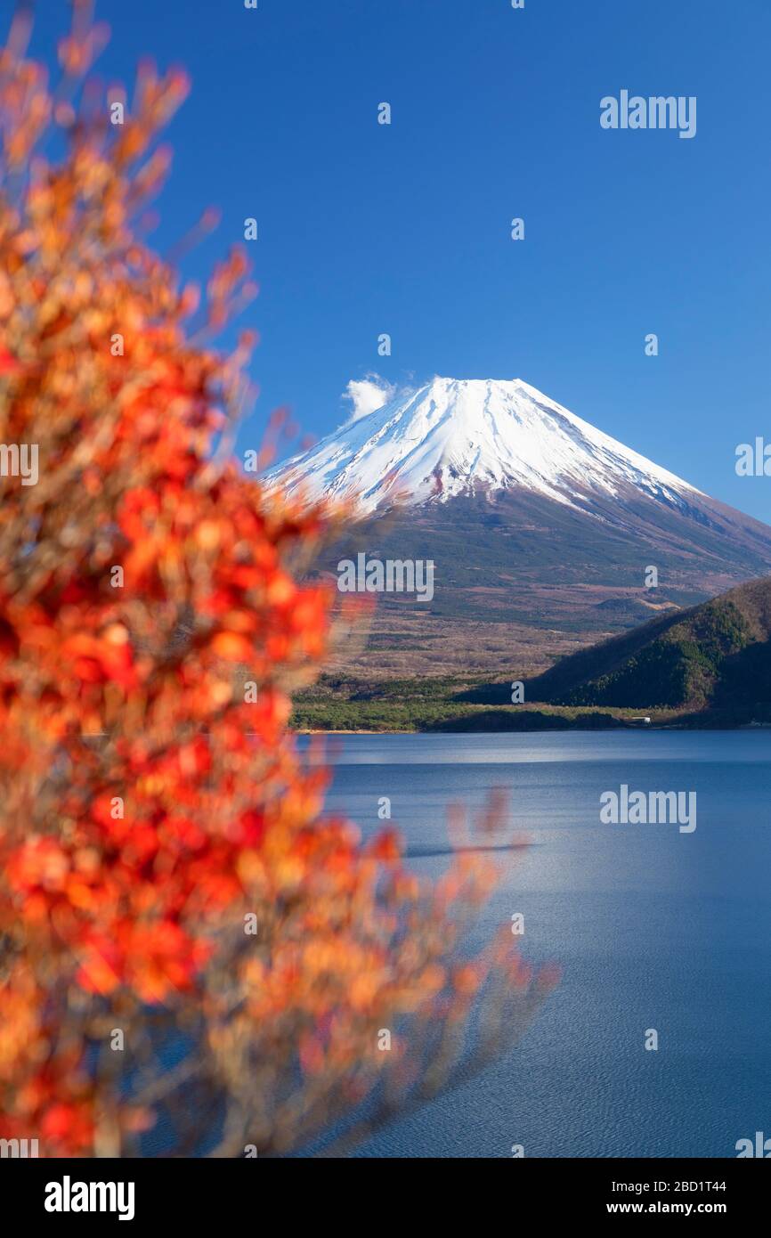 Mount Fuji, UNESCO World Heritage Site, and Lake Motosu, Yamanashi Prefecture, Honshu, Japan, Asia Stock Photo