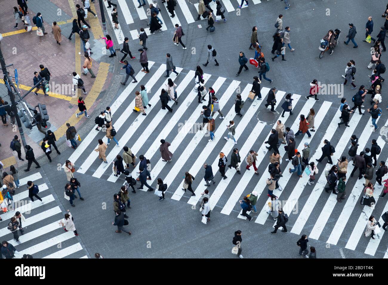 People crossing Shibuya Crossing, Shibuya, Tokyo, Honshu, Japan, Asia Stock Photo