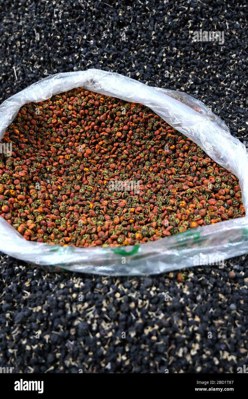Goji berries, black and red, for sale in Shazhou street market, Dunhuang, Gansu, China, Asia Stock Photo