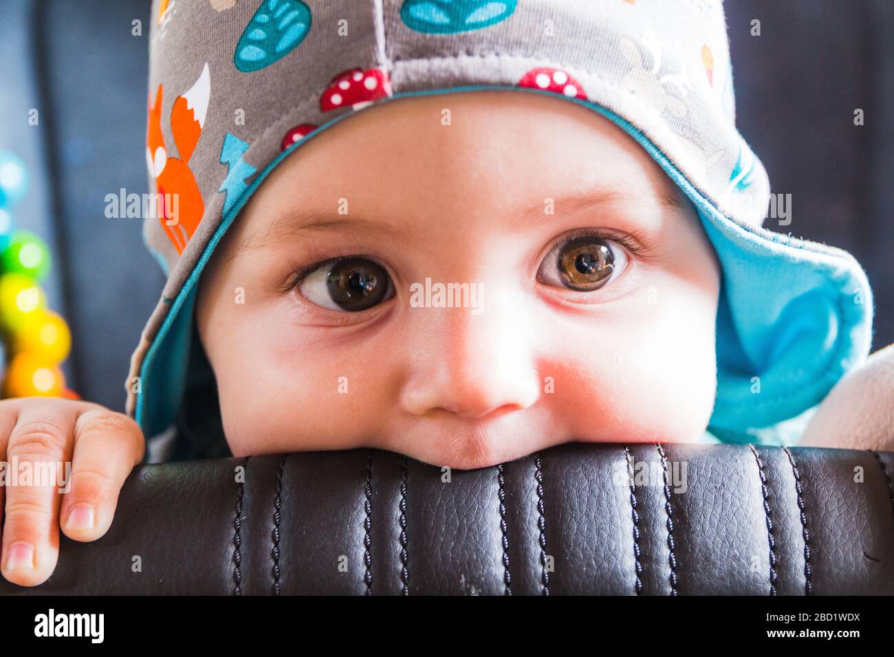 A portrait of pretty baby biting Stock Photo Alamy