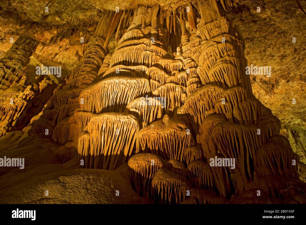 Cave coral at the Soreq Stalactite Cave Nature Reserve (also called Avshalom Cave). This 82-meter-long,60-meter-wide cave is on the western slopes of Stock Photo