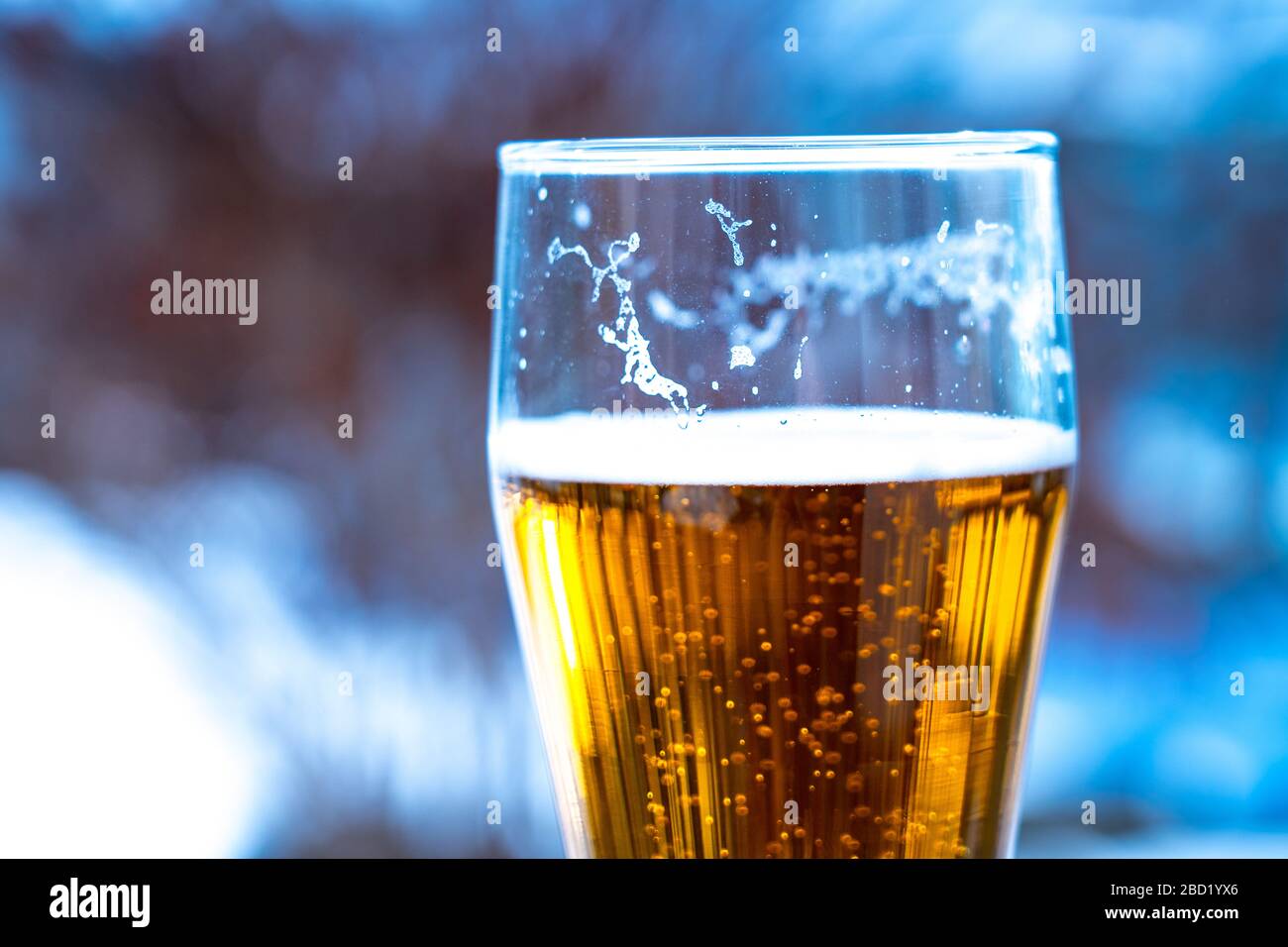 Light beer in a glass goblet on a picnic with snow background. Beer foam on the walls of a glass in the sunlight Stock Photo