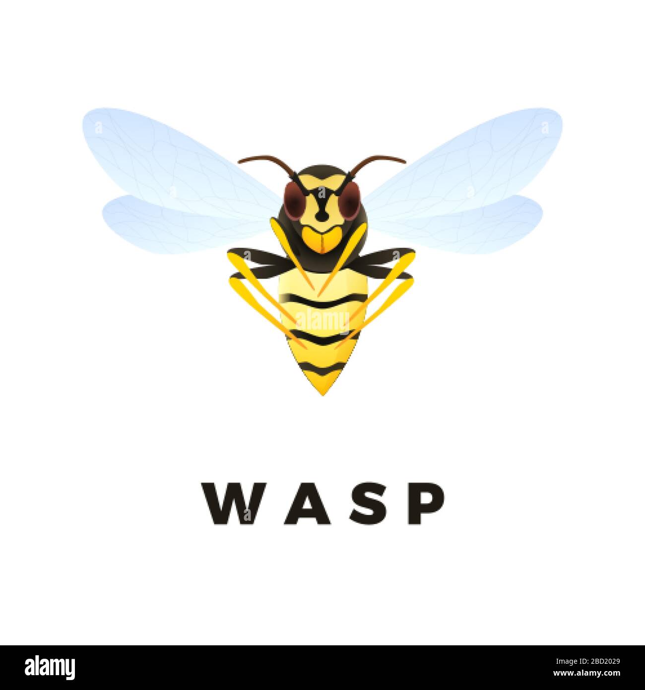 Wasp cartoon illustration isolated on white background. Predatory insect. Yellow wasp. Vector Stock Vector