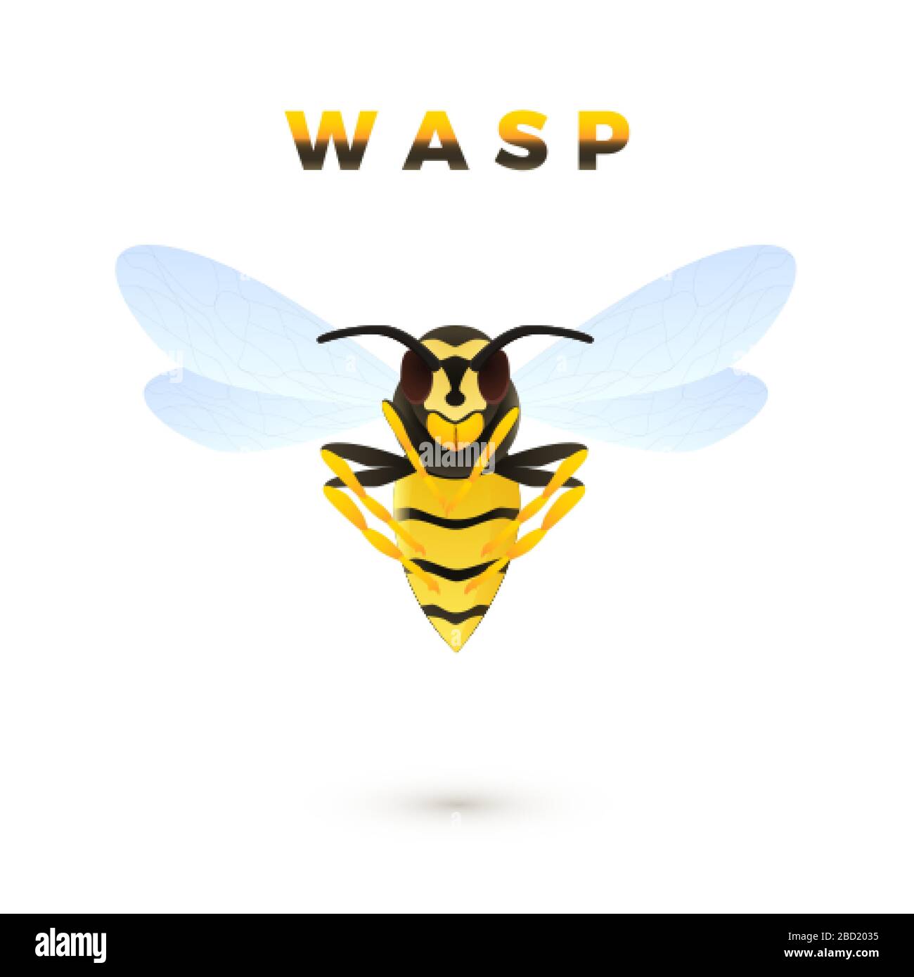 Wasp cartoon illustration isolated on white background. Predatory insect. Yellow striped wasp. Vector Stock Vector