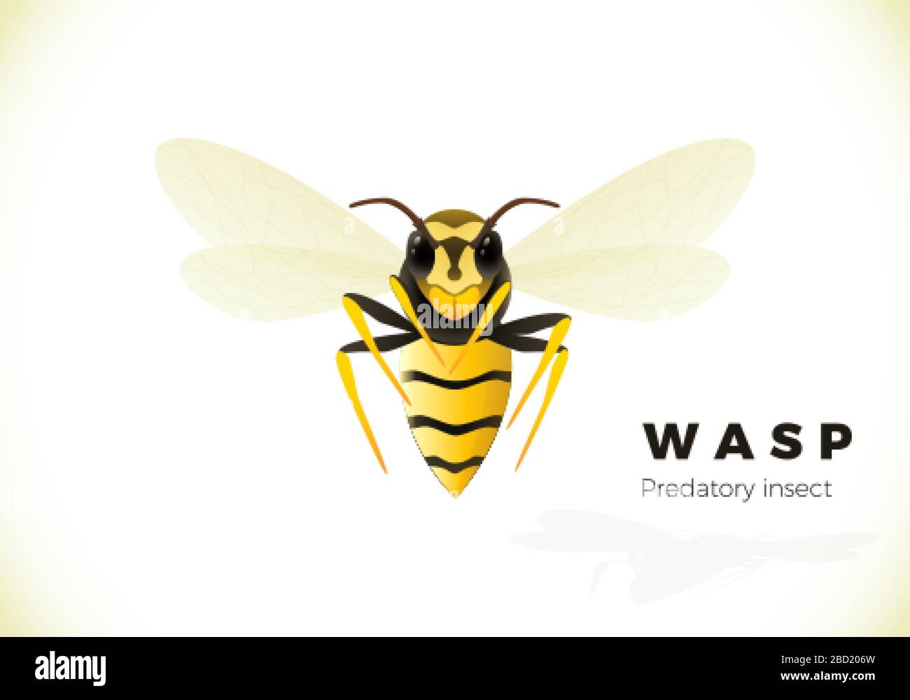 Wasp cartoon illustration isolated on white background. poisonous insect. Yellow wasp. Vector Stock Vector