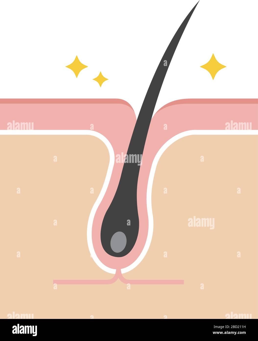 Structure illustration of pores / Clean pore Stock Vector