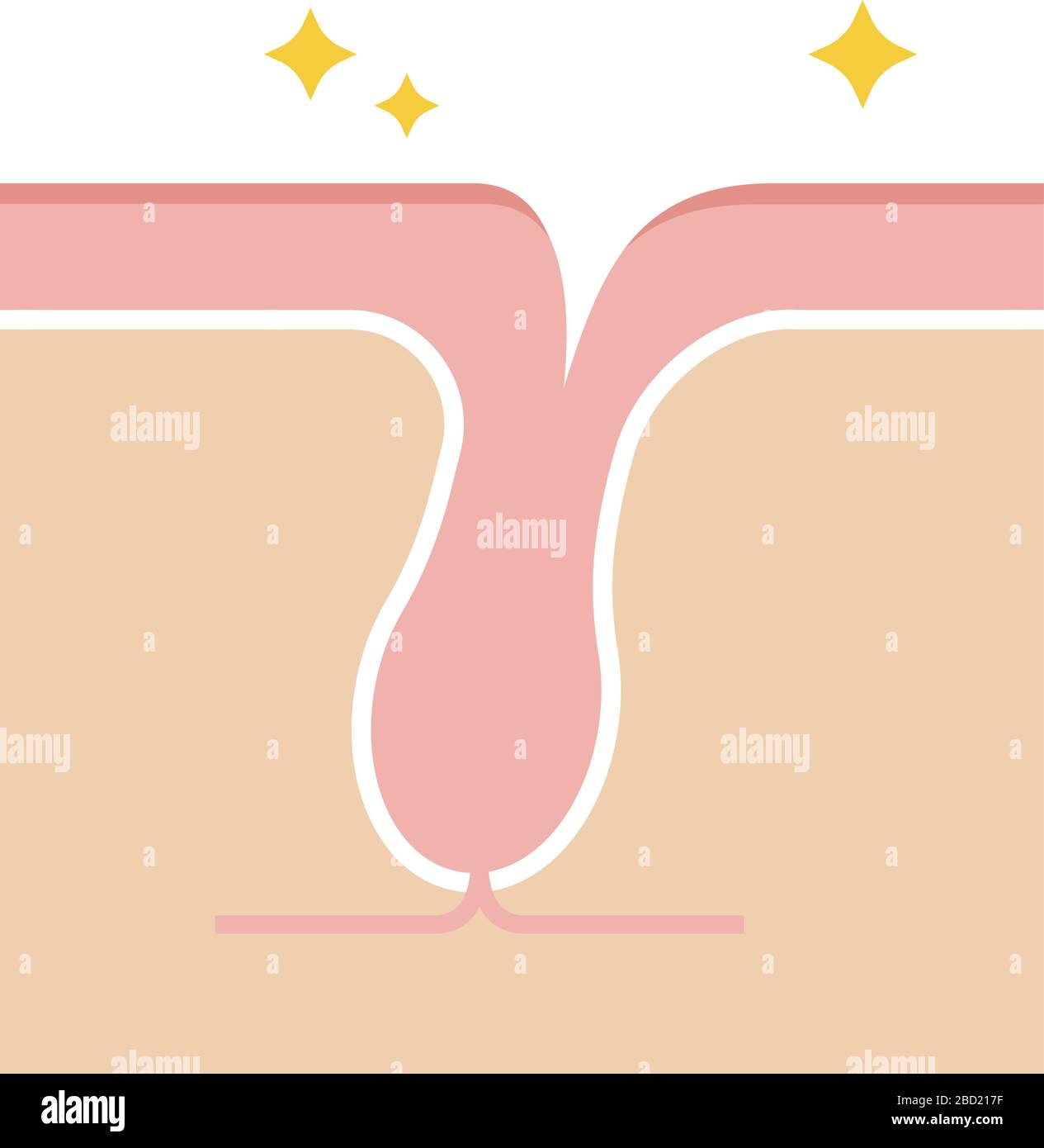 Structure illustration of pores / Clean pore Stock Vector