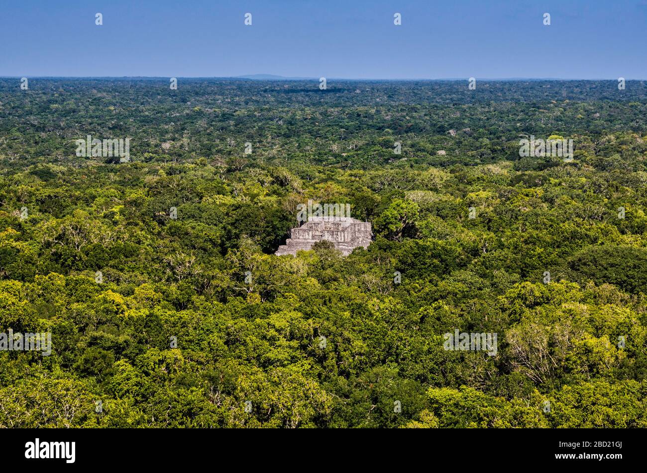 Estructura VII (Structure 7) pyramid, distant view over rainforest from Estructura I (Structure 1), Maya ruins at Calakmul archaeological site, La Ruta Rio Bec, Yucatan Peninsula, Campeche state, Mexico Stock Photo