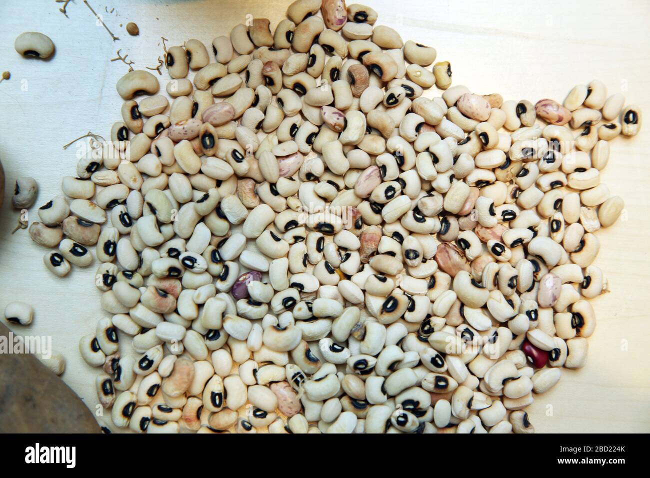 Dried bean, pattern background, top view . Anasazi kidney bean background. Stock Photo