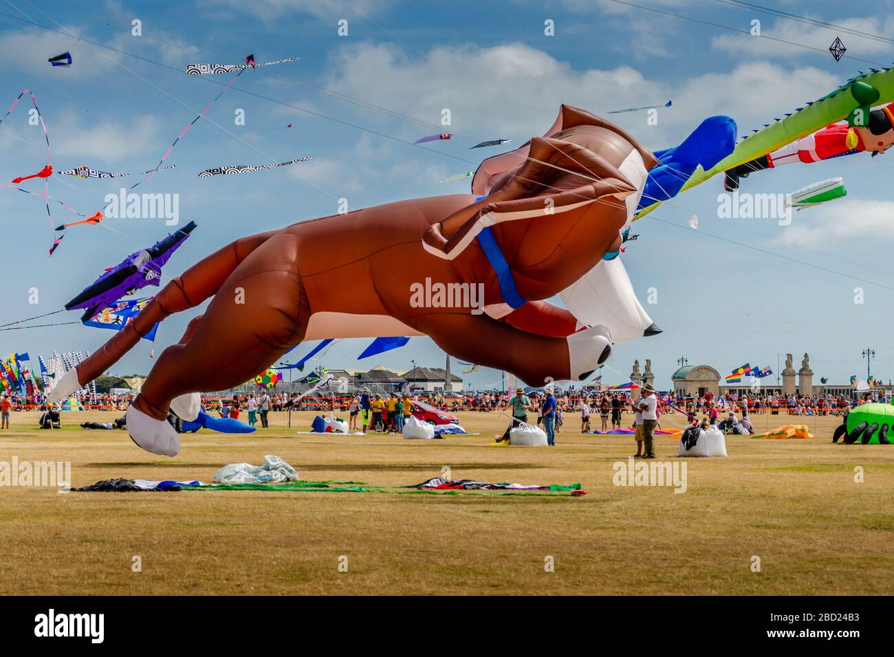 Giant flying dog kite at the Summer Southsea kite festival, Portsmouth, UK with blue sky and clouds in the background Stock Photo