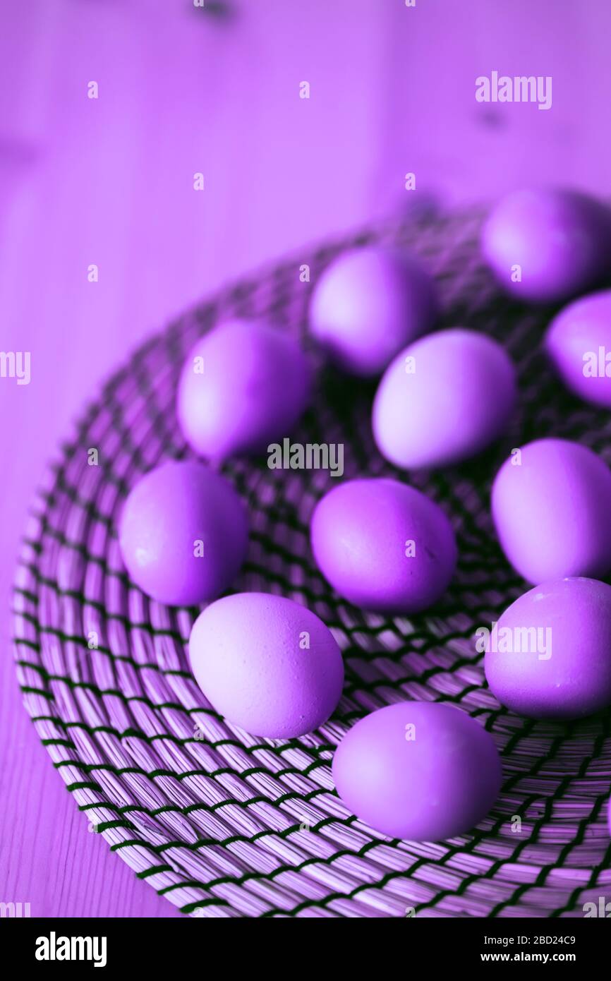 Raw fresh purple chicken eggs on rustic wooden table. Selective focus. Organic food, healthy eating, dieting, protein, farm products concept. Copy spa Stock Photo