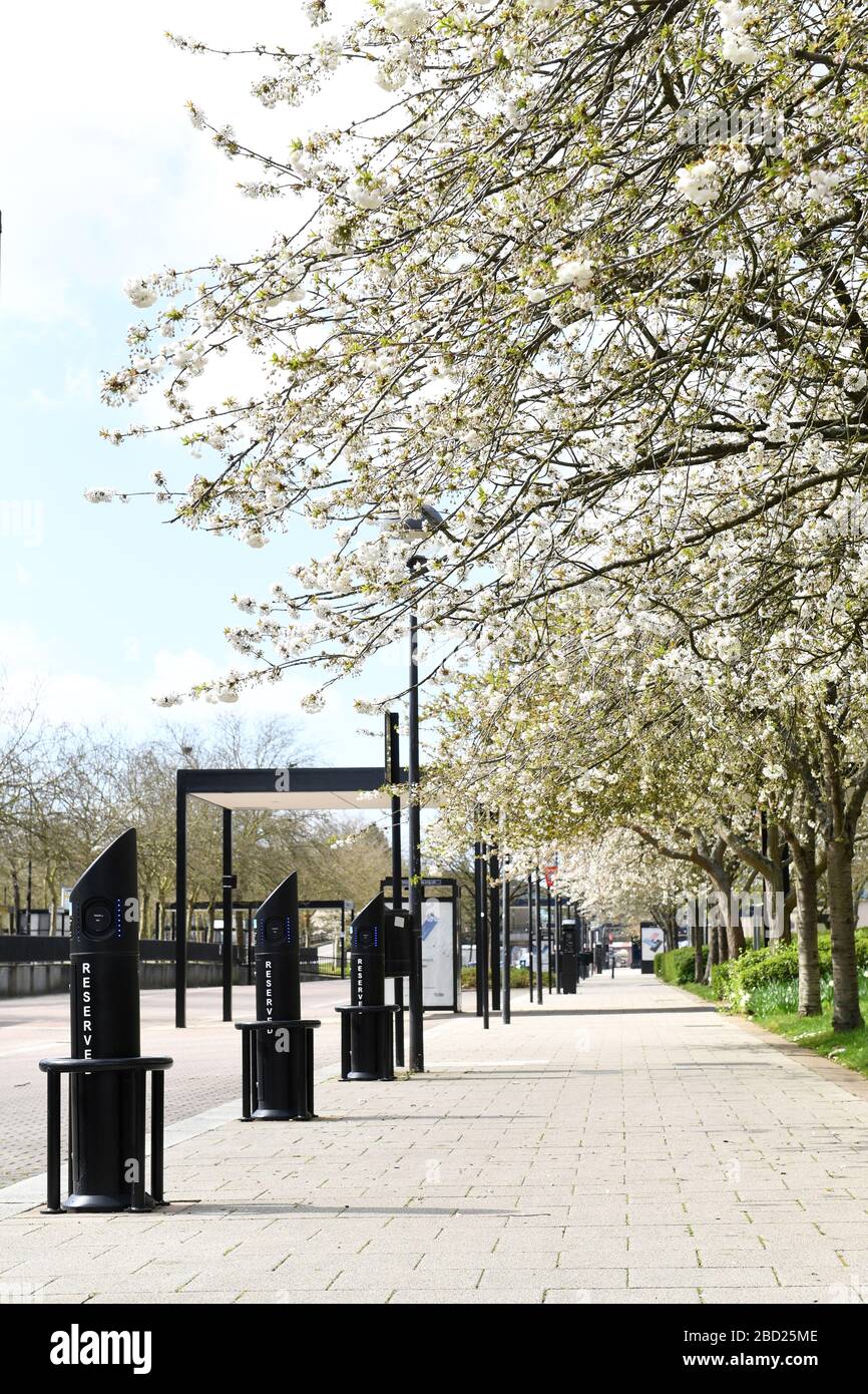 Central Milton Keynes Buildings Snow Dome Outdoor Market Blossom
