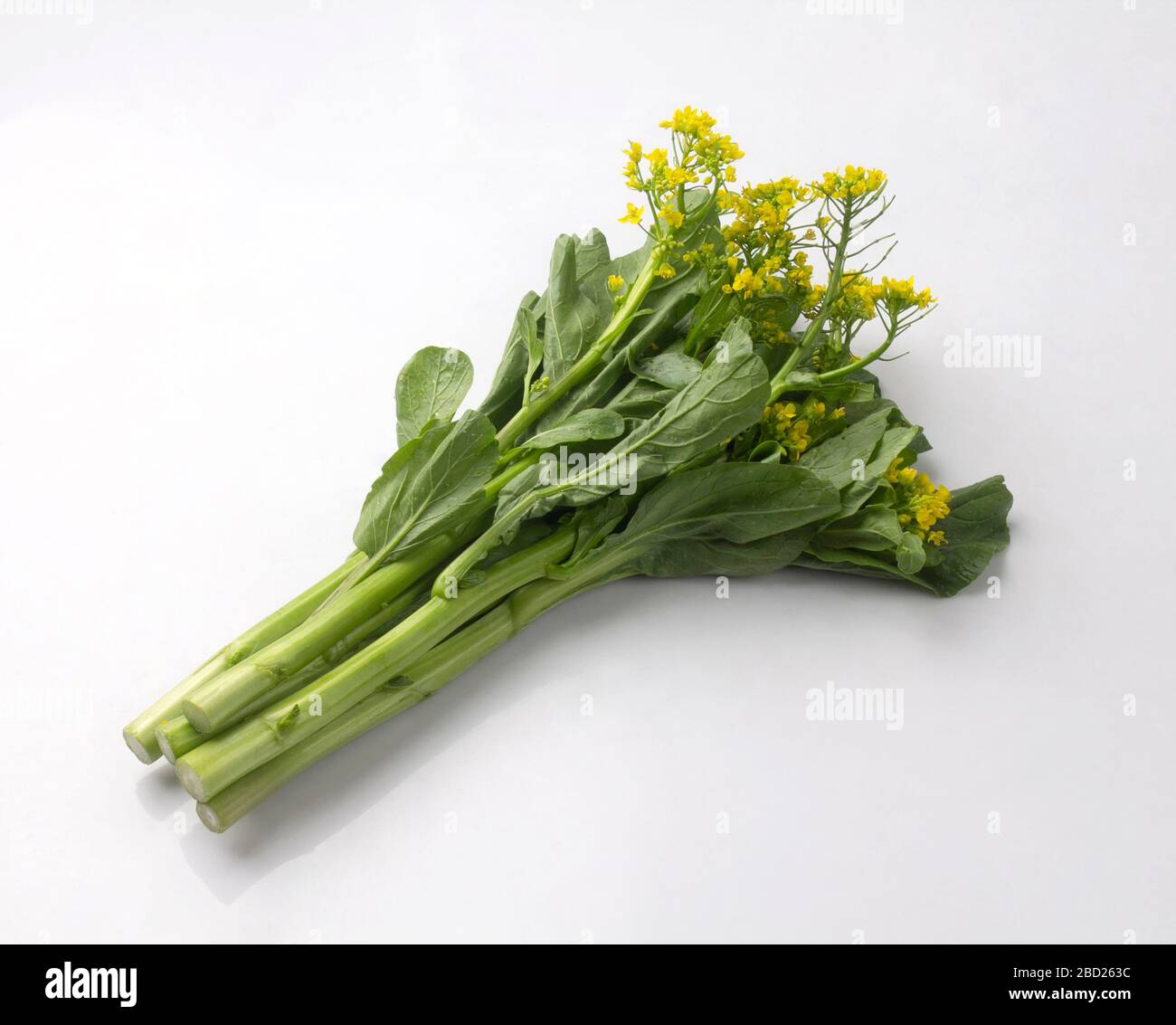Fresh chinese flowering cabbage isolated on white background Stock