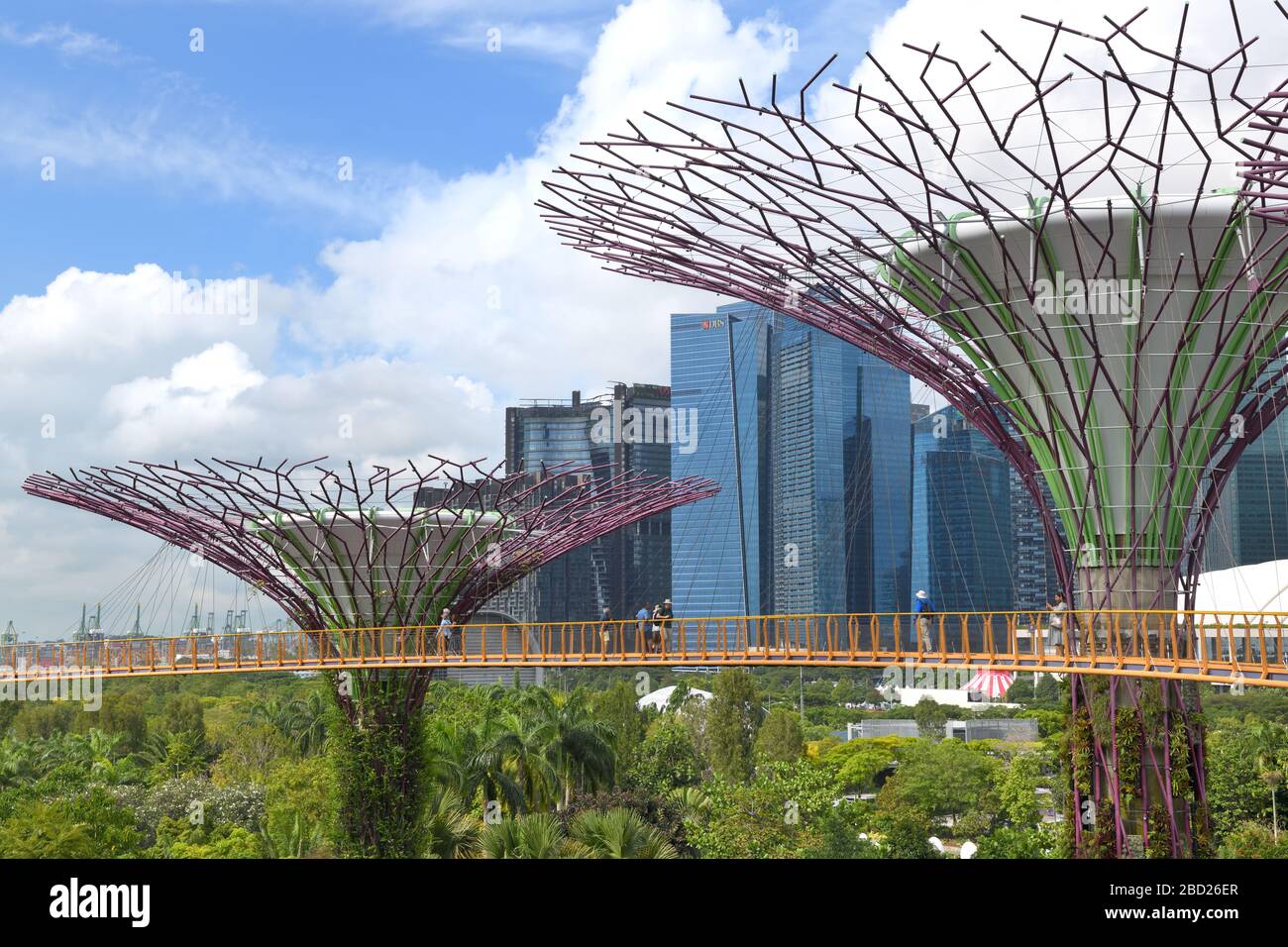 SUPERTREE GROVE and OCBC SKYWAY in Gardens by the Bay, Singapore, Asia Stock Photo