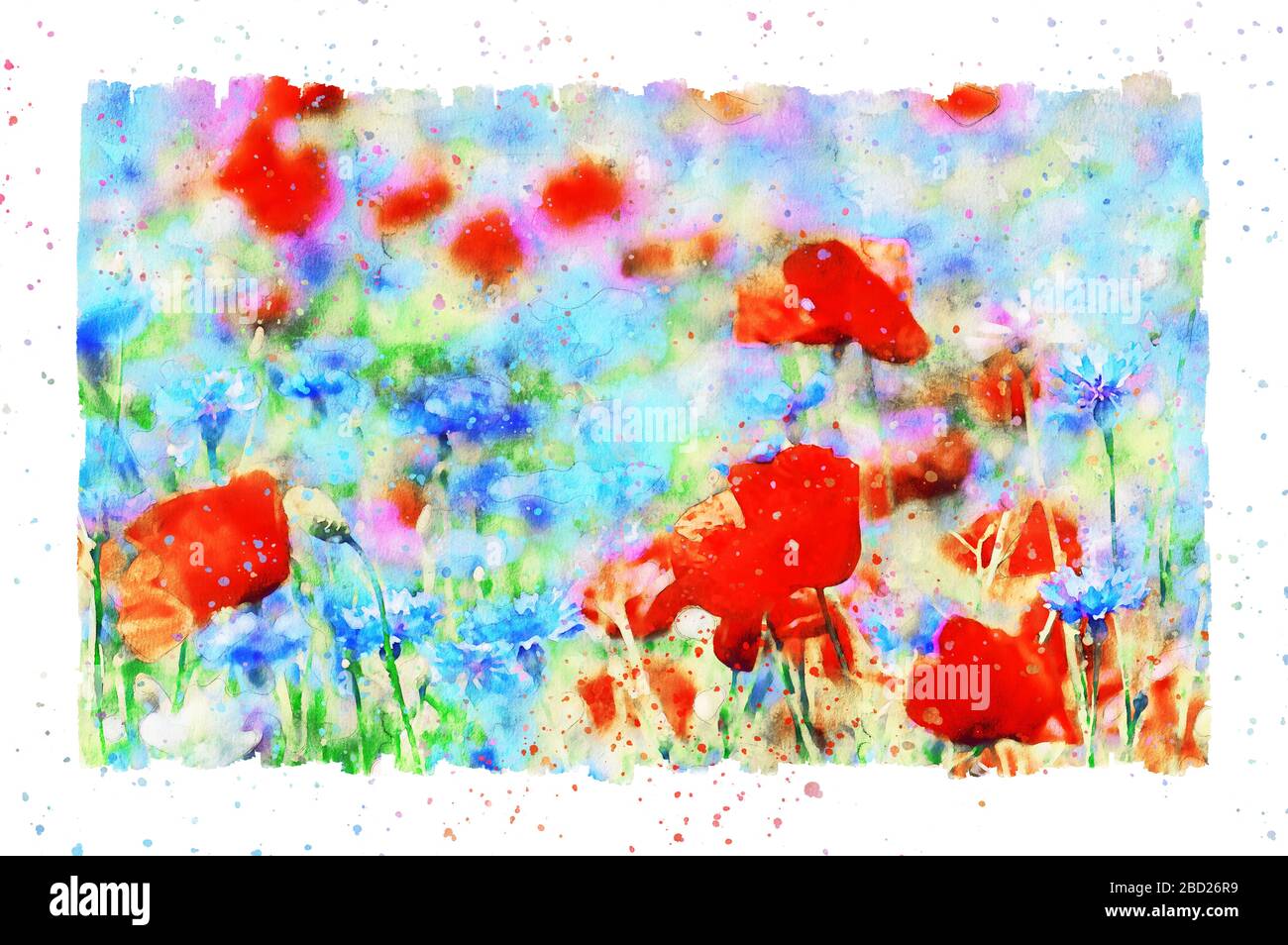 Watercolor painting of poppy flower and corn flower blossom in summer time. frame with dots. Stock Photo