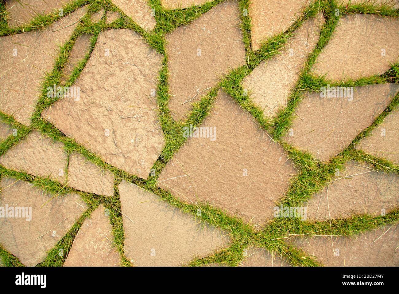 footpath with a growing grass between stones. abstract background. Stock Photo