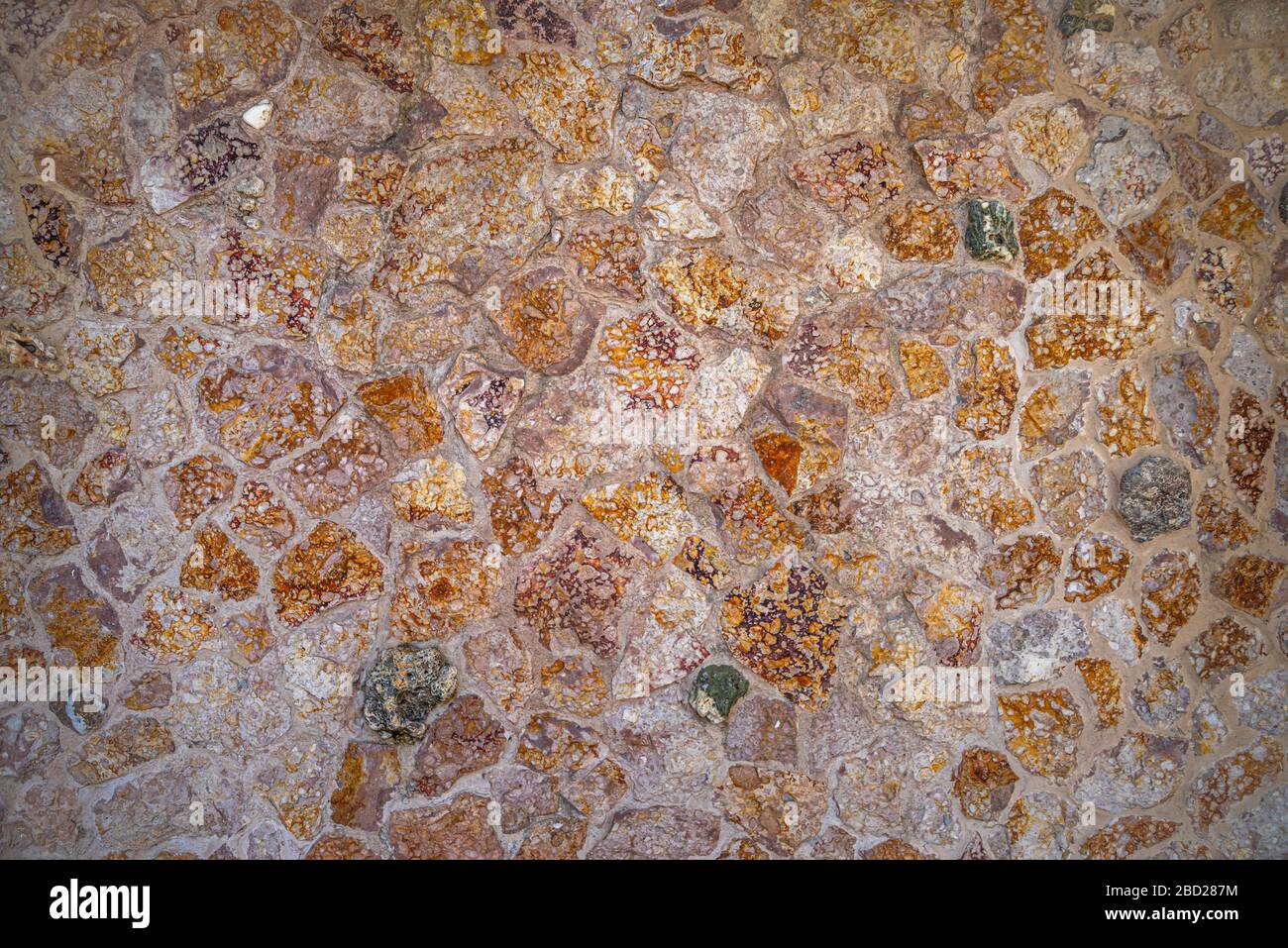 Stone wall texture with sea shells Stock Photo