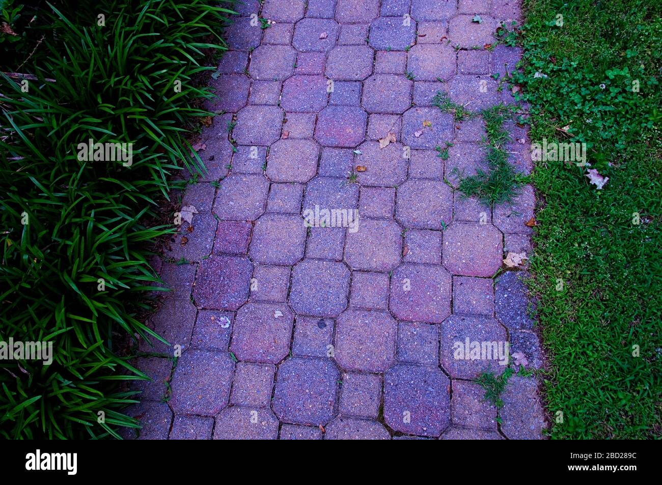 Brick walkway outside with a colorful look Stock Photo