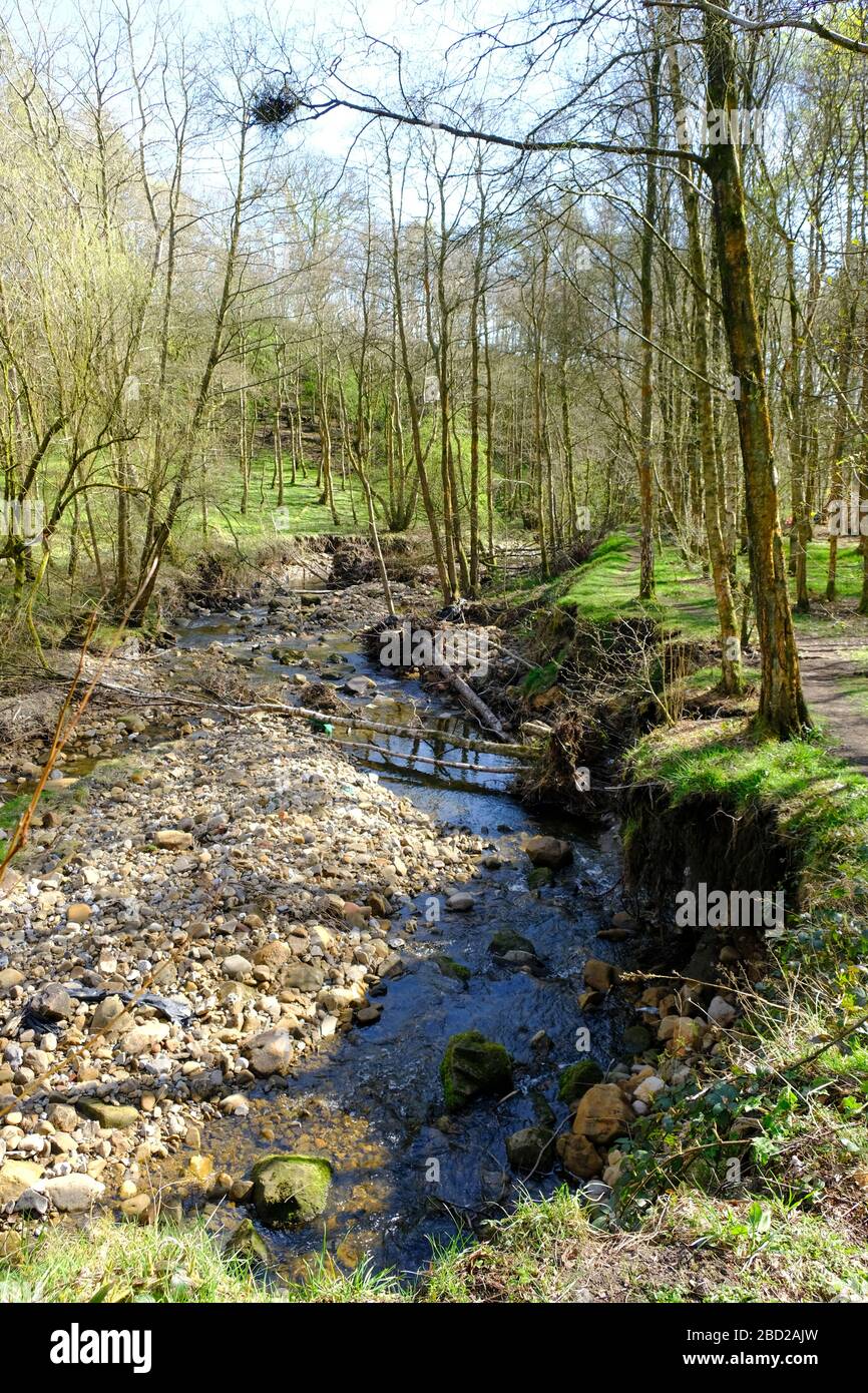 River Bank Raining River bank erosion from rivers after they have been flooded by lots of ...
