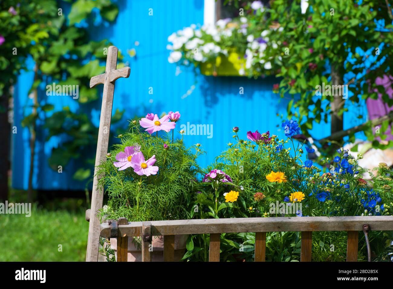 Colorful summer garden hi-res stock photography and images - Alamy