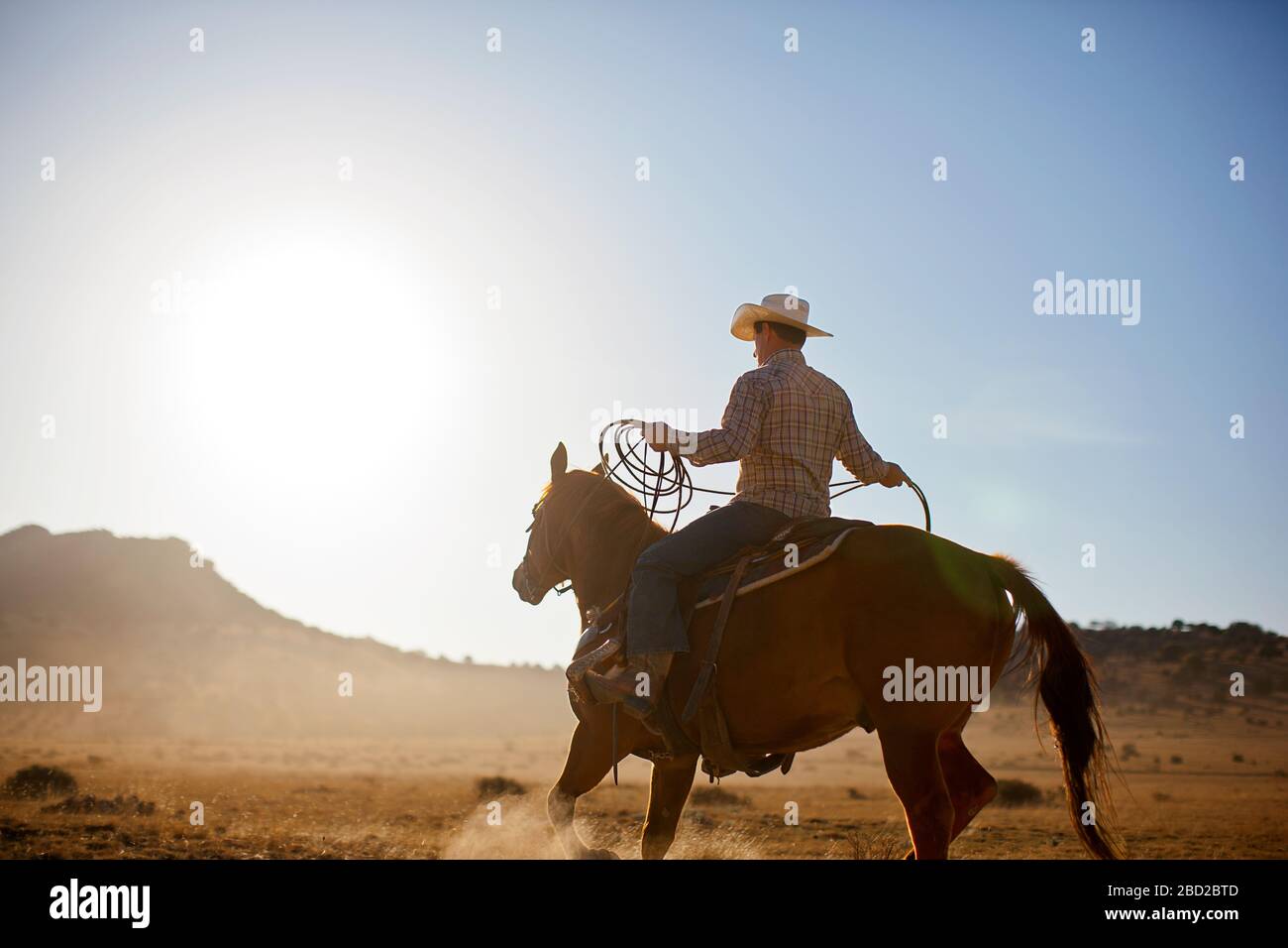 Rancher holding a lasso while riding a horse Stock Photo - Alamy